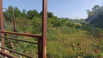 Rustic finca on Carretera Villamartin-Bornos photo 3