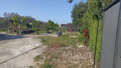 Rustic finca on Carretera Villamartin-Bornos photo 5