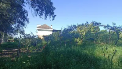Rustic finca on Carretera Villamartin-Bornos photo 6