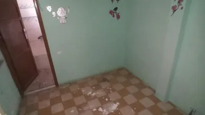 House in Olivo photo 13