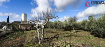 Rustic finca in Malos Humos photo 4