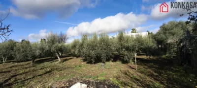 Rustic finca in Malos Humos photo 5