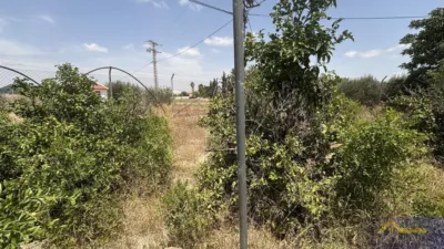 Rustic property on Calle Paraje Ruices, No. S/N photo 11