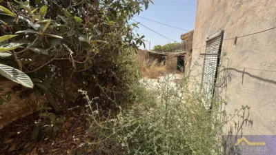 Rustic property on Calle Paraje Ruices, No. S/N photo 37