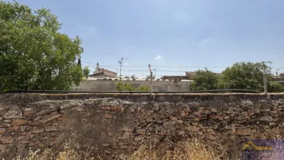 Rustic property on Calle Paraje Ruices, No. S/N photo 6
