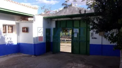 Miniatura 12