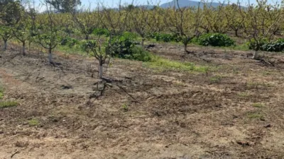 Finca rústica en venta en Presa Montijo, El Prado (Mérida) de 180.000 €