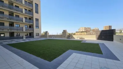 Apartment in Centro Carlos III photo 10