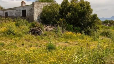 House on Carretera Arcos El Bosque photo 16