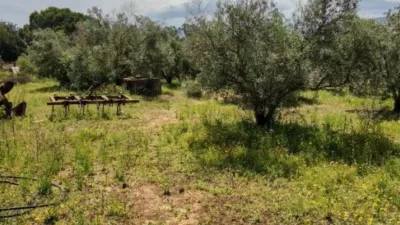 House on Carretera Arcos El Bosque photo 17