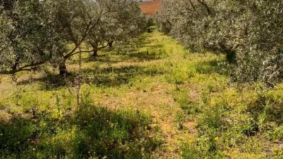 House on Carretera Arcos El Bosque photo 18