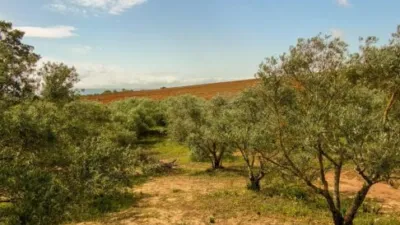 House on Carretera Arcos El Bosque photo 21