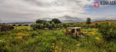 House on Carretera Arcos El Bosque photo 23