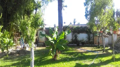 Chalet in El Santiscal photo 3