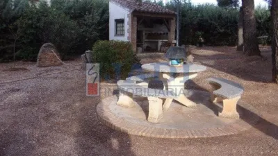 Miniatura 8