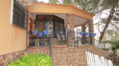 Miniatura 7