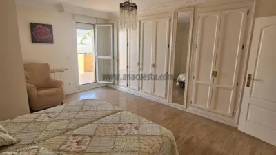 Penthouse in the Centre photo 10