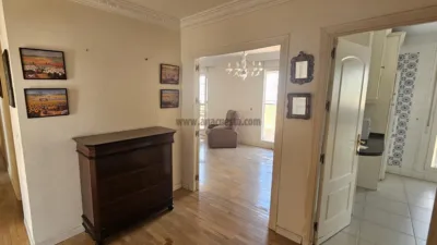 Penthouse in the Centre photo 11