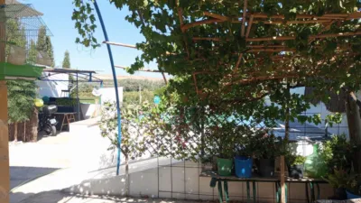 House in La Pedrosa photo 34