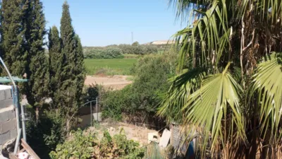 House in La Pedrosa photo 3