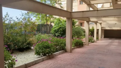 Apartment in Aguadulce Norte photo 7