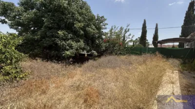 Rustic property on Calle Paraje Ruices, No. S/N photo 17