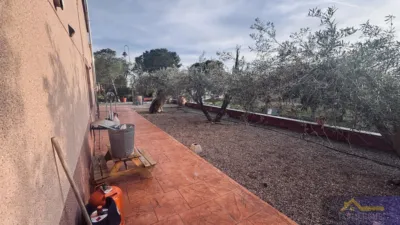 Rustic finca on Calle Catorce, No. S/N photo 27