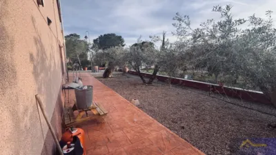 Rustic finca on Calle Catorce, No. S/N photo 28