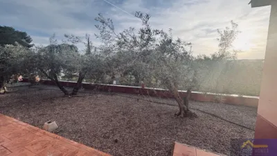 Rustic finca on Calle Catorce, No. S/N photo 27