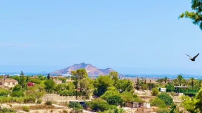Rustic finca on Calle Valle del Sol, No. S/N photo 18