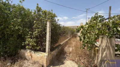 Rustic property on Calle Paraje Ruices, No. S/N photo 3
