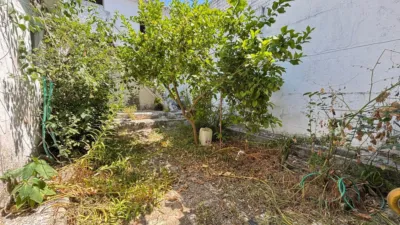 House on San Juan de Dios Street photo 8