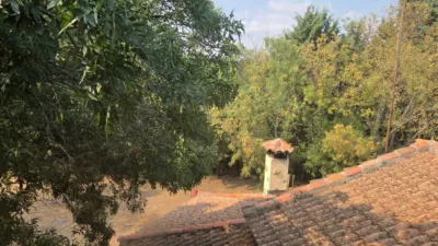 Chalet in Pelayos del Arroyo photo 3