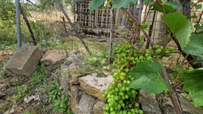 Rustic finca in Paraje La Jara Izbor photo 29