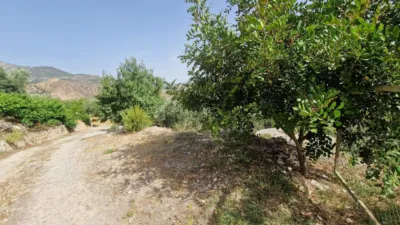 Rustic finca in Paraje La Jara Izbor photo 32