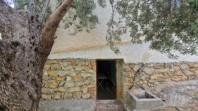 Rustic finca in Paraje La Jara Izbor photo 25