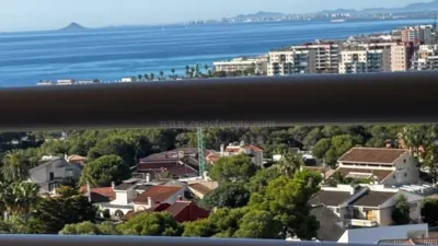 Pis – Orihuela, Mil Palmeras - Vista 2