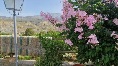 Rustic finca in Paraje La Jara Izbor photo 34