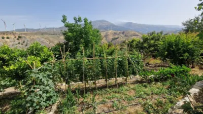 Rustic finca in Paraje La Jara Izbor photo 35