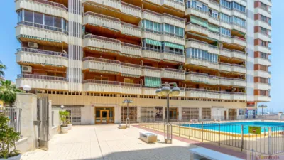 Apartment in Acequion - Torrevieja - Costa Blanca photo 21