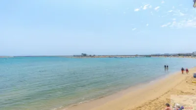 Apartment in Acequion - Torrevieja - Costa Blanca photo 27
