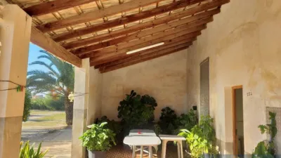 House in Elx - Elche - Vista 2