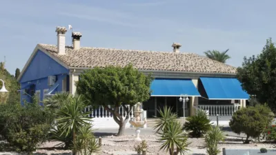 Casa – Elx - Elche - Vista 4