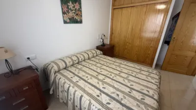 Apartment in La Mata Pueblo photo 9