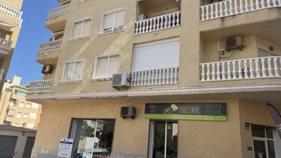 Apartment in La Mata Pueblo photo 17