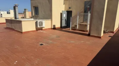 Apartment in La Mata Pueblo photo 15