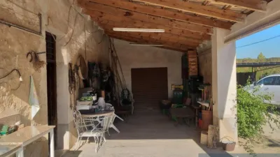 House in Elx - Elche - Vista 3