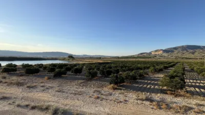 Chalet on Calle Cerca de Alhama photo 20