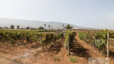 Rustic Finca in Barranco Hondo photo 39