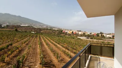Rustic Finca in Barranco Hondo photo 21